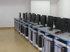 一呼百应公司频道 艺术类培训课程报名开启